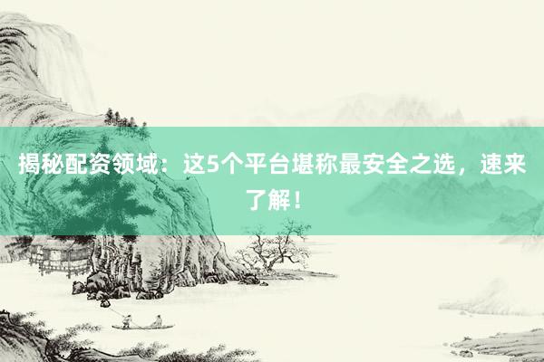揭秘配资领域：这5个平台堪称最安全之选，速来了解！