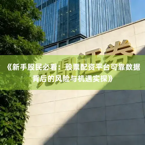 《新手股民必看：股票配资平台可靠数据背后的风险与机遇实探》