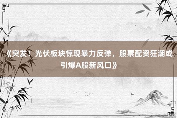 《突发！光伏板块惊现暴力反弹，股票配资狂潮或引爆A股新风口》
