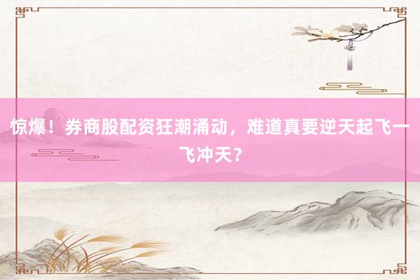 惊爆！券商股配资狂潮涌动，难道真要逆天起飞一飞冲天？