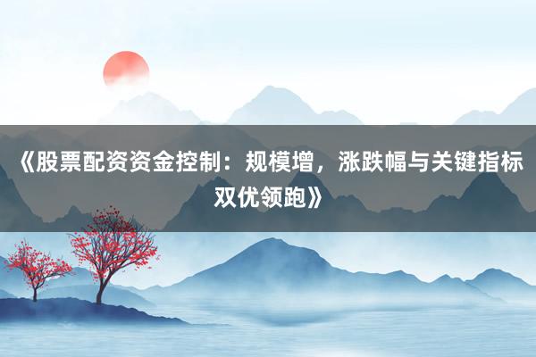《股票配资资金控制：规模增，涨跌幅与关键指标双优领跑》
