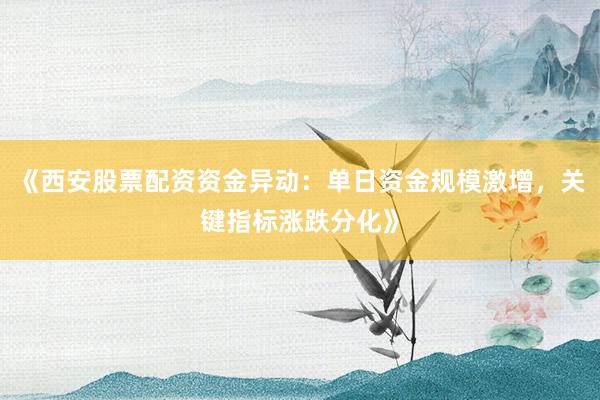 《西安股票配资资金异动：单日资金规模激增，关键指标涨跌分化》