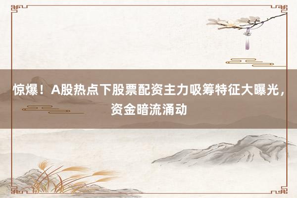 惊爆！A股热点下股票配资主力吸筹特征大曝光，资金暗流涌动