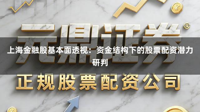 上海金融股基本面透视：资金结构下的股票配资潜力研判