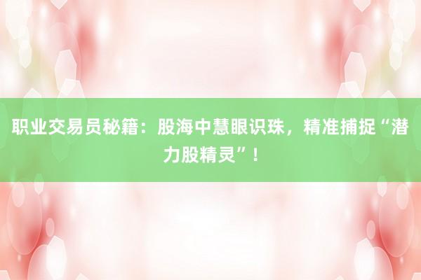 职业交易员秘籍：股海中慧眼识珠，精准捕捉“潜力股精灵”！